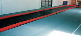Inground Tumbl Trak