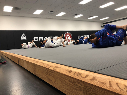 Why Quality Wrestling Mats are a Must-Have – Sprung Gym Flooring